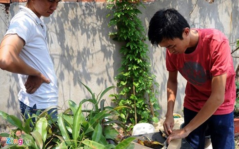 Les plantes carnivores, un loisir qui séduit de plus en plus de saigonais - ảnh 8